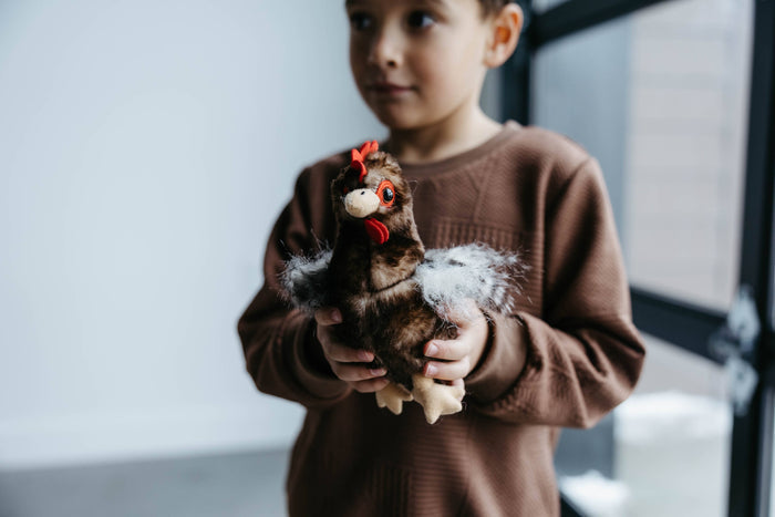 9" (20cm) Wild Onez Chicken Brown