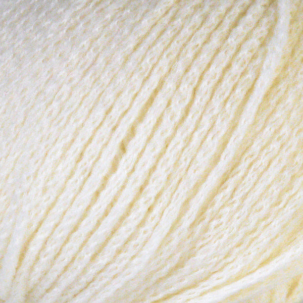 29106 Snow