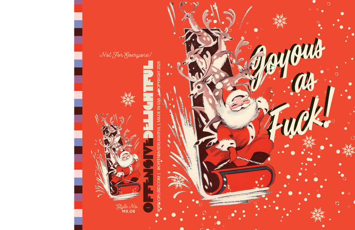 JOYOUS SLEIGH christmas card