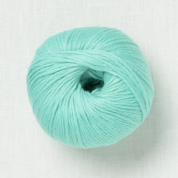 58 Light Aqua