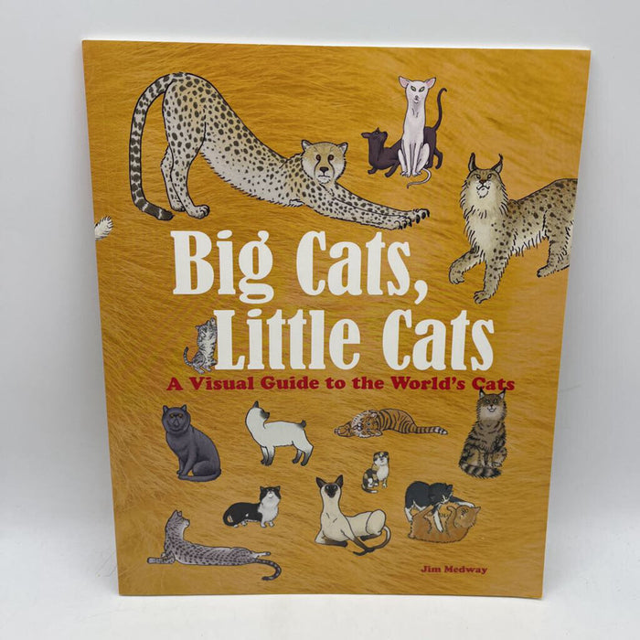Big Cats Little Cats (paperback)