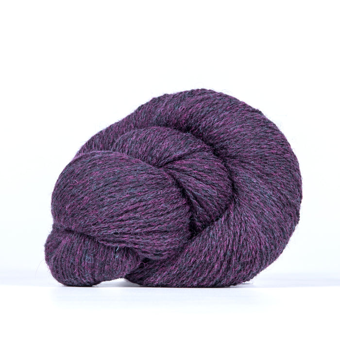 Sloe