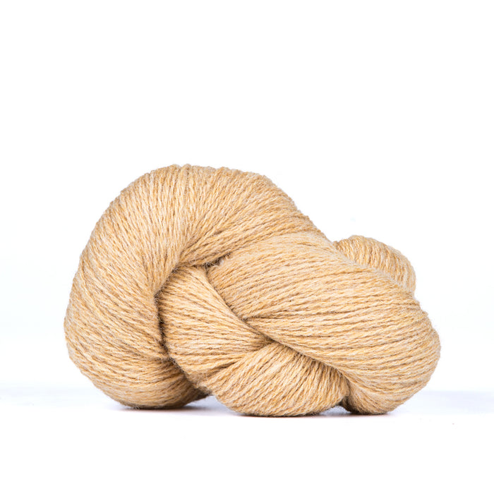Bio Shetland