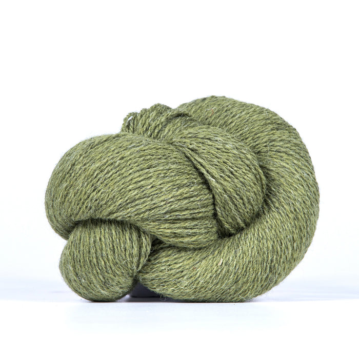 Bio Shetland