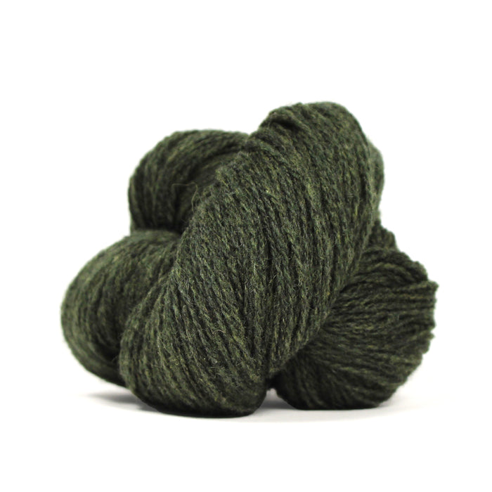 Bio Shetland