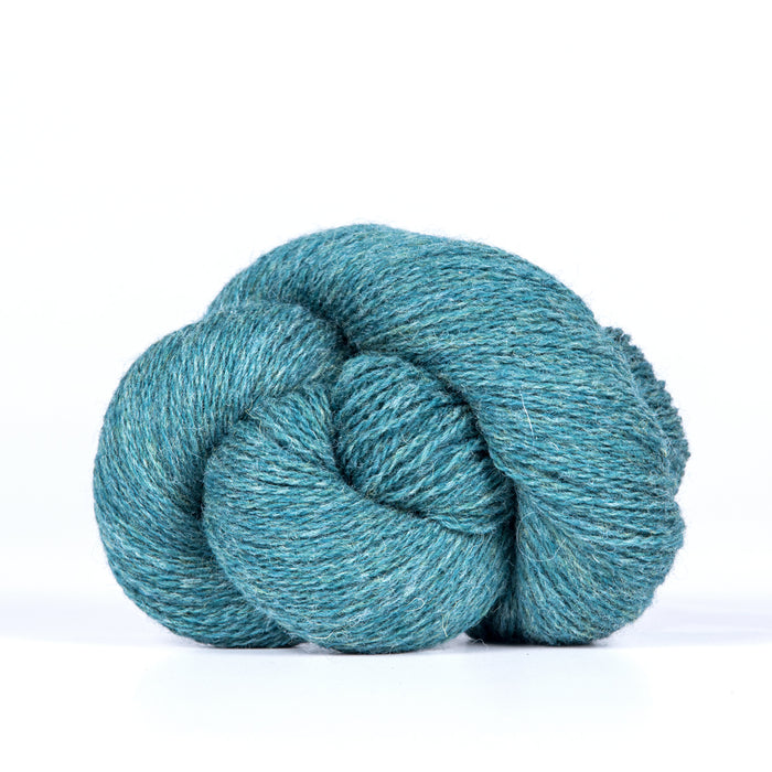 Bio Shetland