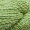 905 Celery