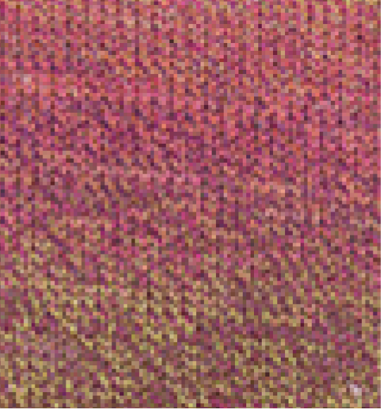 Cascade 220 Superwash Sport Wave