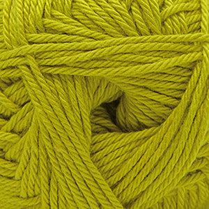 34 Warm Olive
