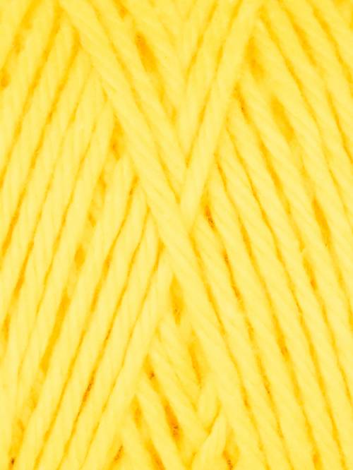 Coastal Cotton