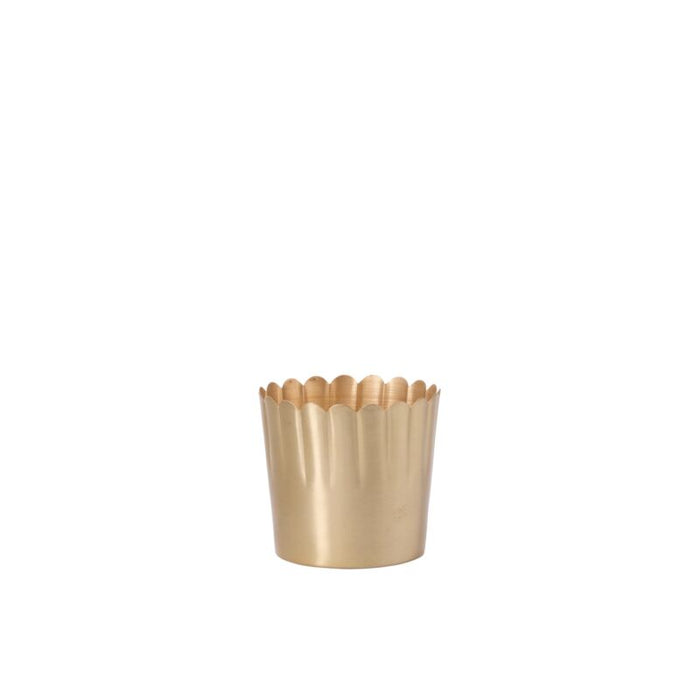 Delicata Pot