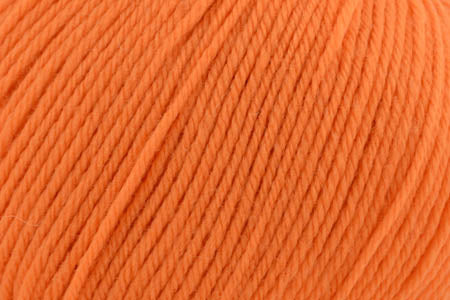 X804 Nectarine