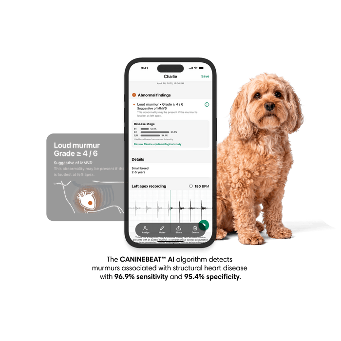 Eko CORE™ Digital Attachment