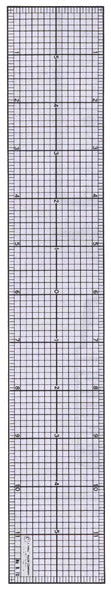 Graph Ruler 2" x 12"