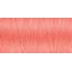 373 Coral Reef