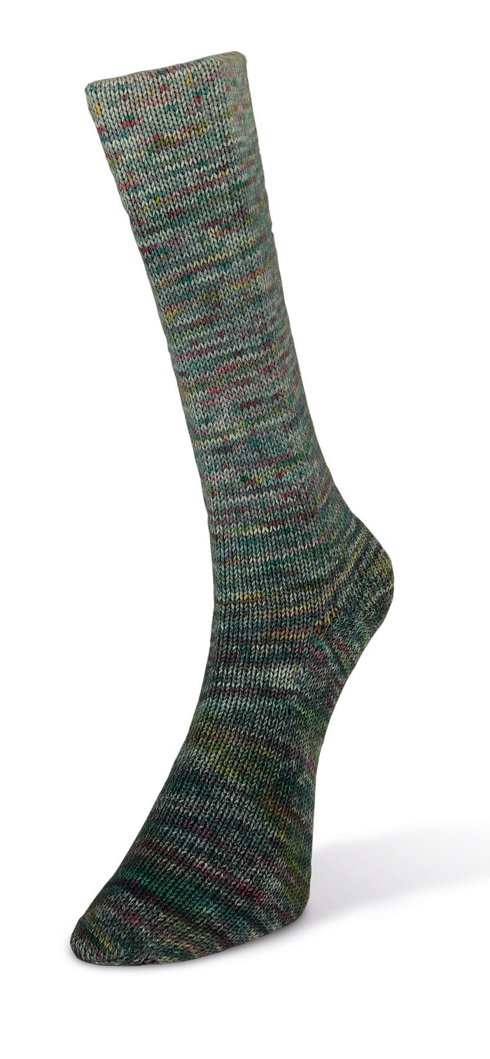 Laines du Nord Paint Gradient Sock Yarn