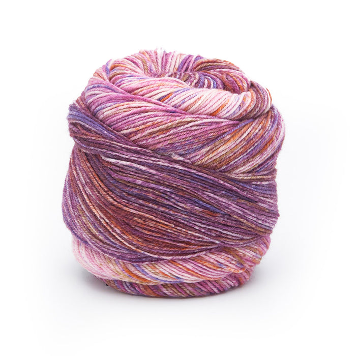 Laines du Nord Paint Gradient Sock Yarn