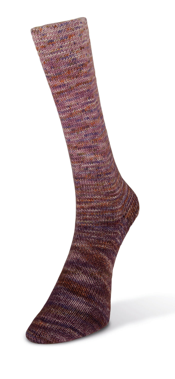 Laines du Nord Paint Gradient Sock Yarn