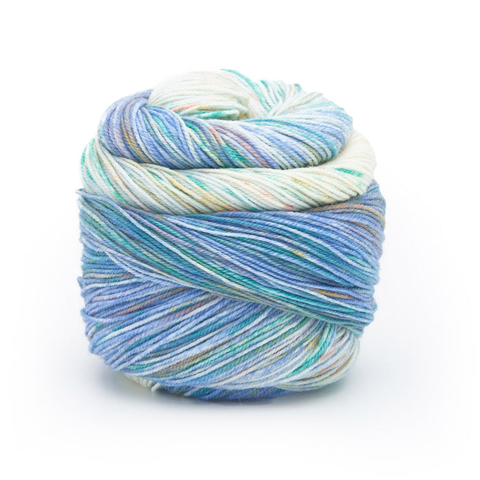 Laines du Nord Paint Gradient Sock Yarn