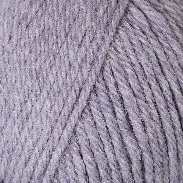 Phlox 95141