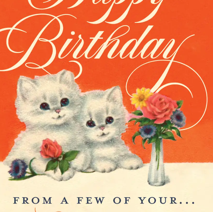 LITTLE SHITS! Kitten Card