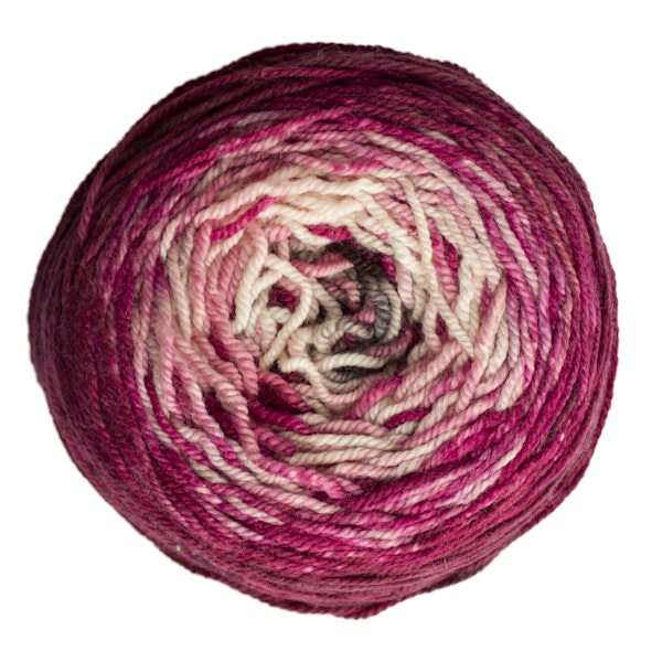 Malabrigo Sock Cakes - Metamorphosis