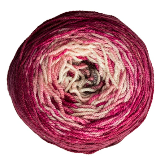 Malabrigo Sock Cakes - Metamorphosis