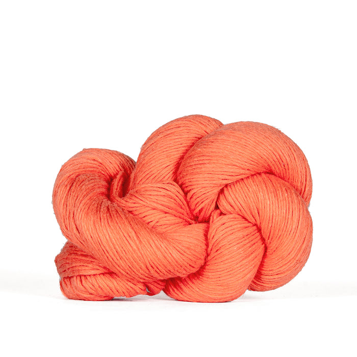 Coral 883