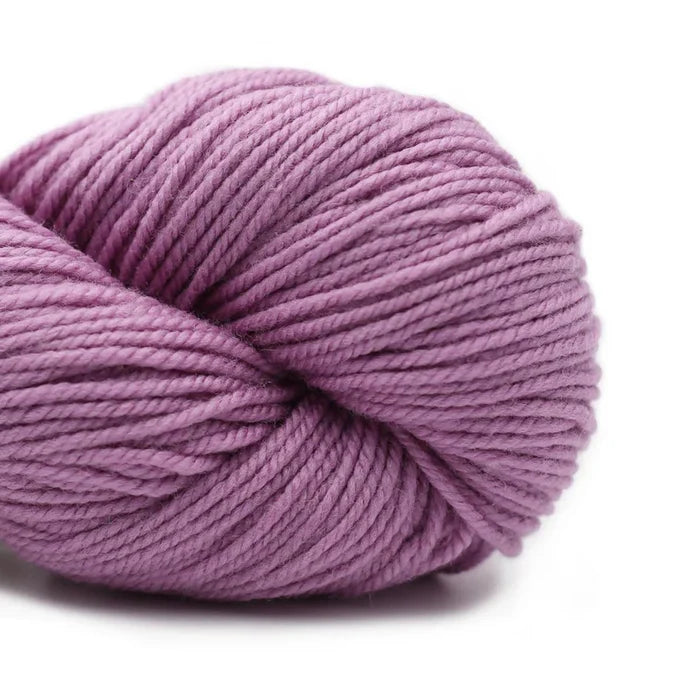 11 Phlox Purple