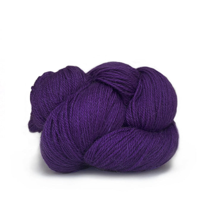 507 Violet