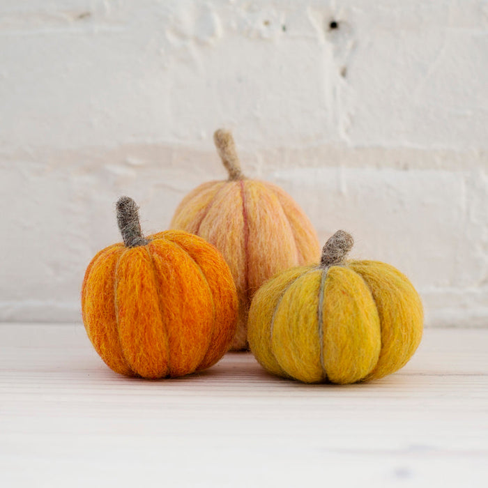 Pumpkins Needle Felting Kit