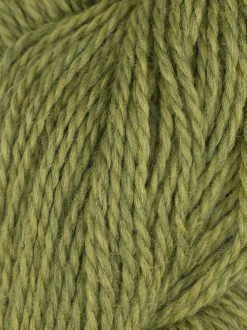 Wild Chartreuse 1018