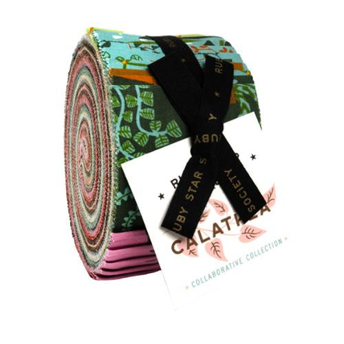 RSS Calathea Jelly Roll