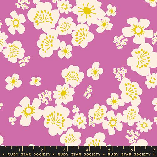 RSS Paper Cuts 2