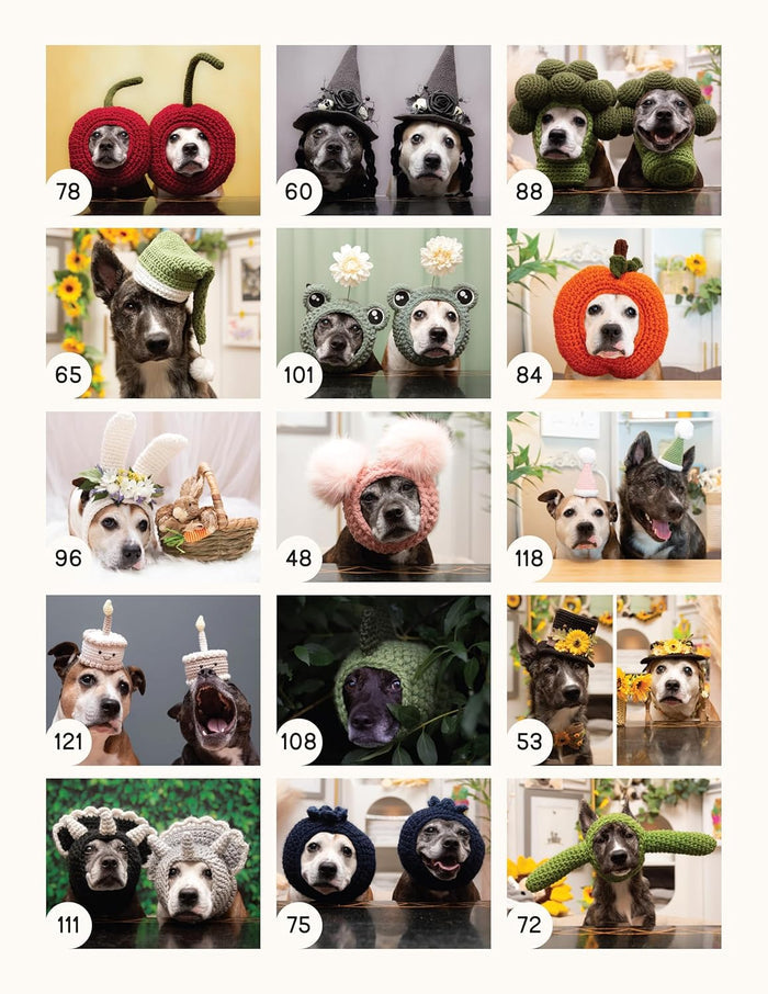 Sookie & Ivy: Crocheting Original Hats for Dogs