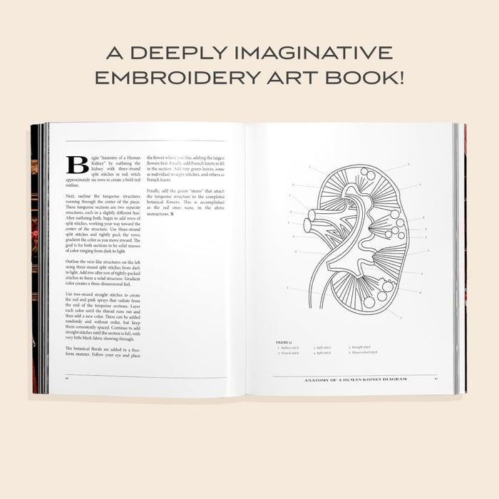Stitchcraft: An Embroidery Book of Simple Stitches and Peculiar Patterns