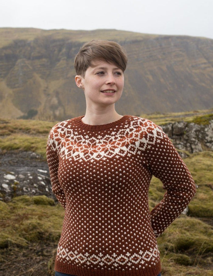 Strange Brew: A Colourwork Knitting Adventure
