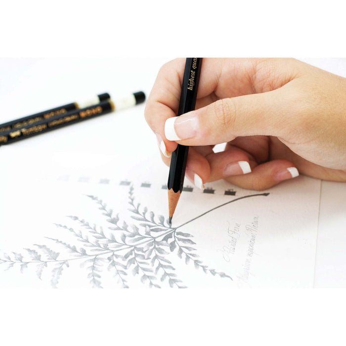Tombow Mono Drawing Pencil And Eraser Set