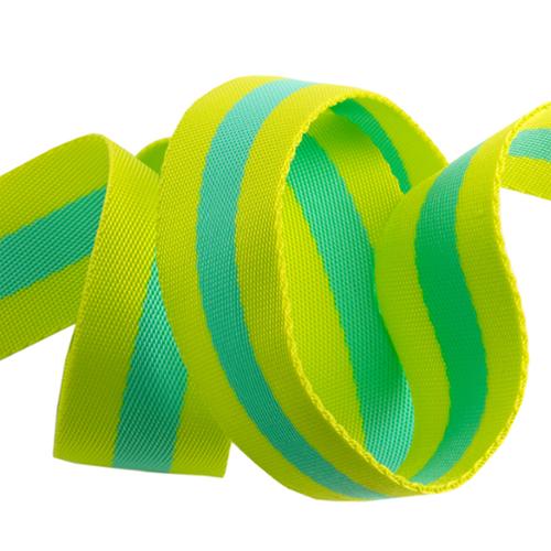 Tula Pink Striped Webbing 1.5"