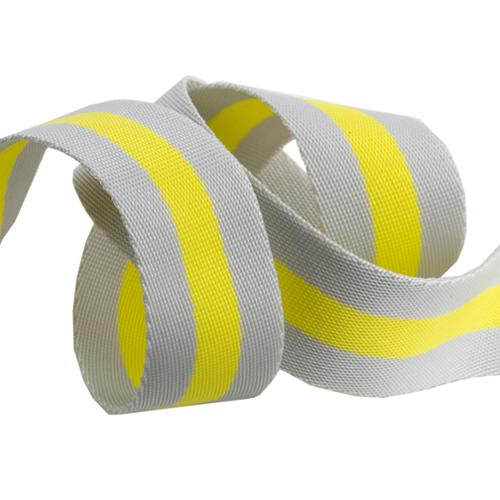 Tula Pink Striped Webbing 1.5"
