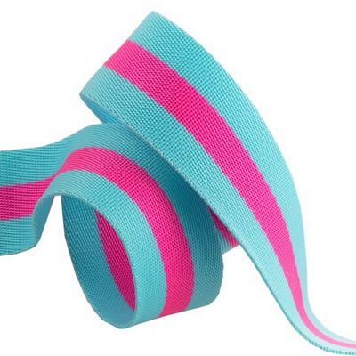 Tula Pink Striped Webbing 1.5"